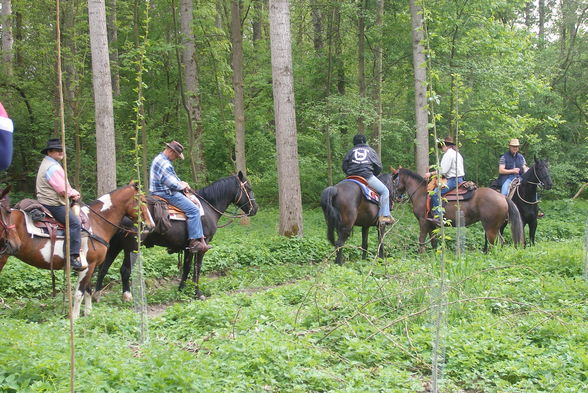 WaNdErReiTeN im Machland - 