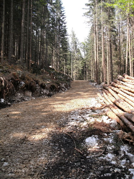 Neue 1 km lange Forststraße! - 