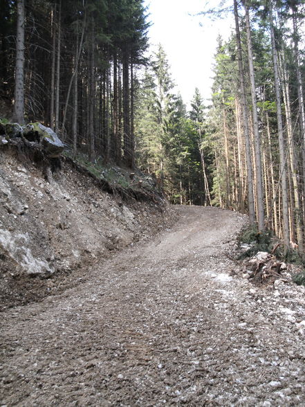 Neue 1 km lange Forststraße! - 