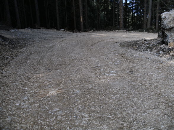 Neue 1 km lange Forststraße! - 