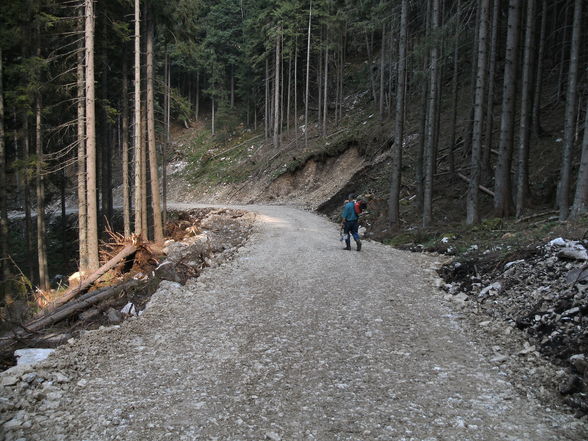 Neue 1 km lange Forststraße! - 