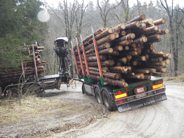 Holztransport - der schönste Sport - 