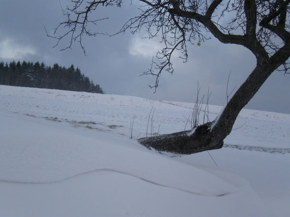 erster schnee des joa!! - 