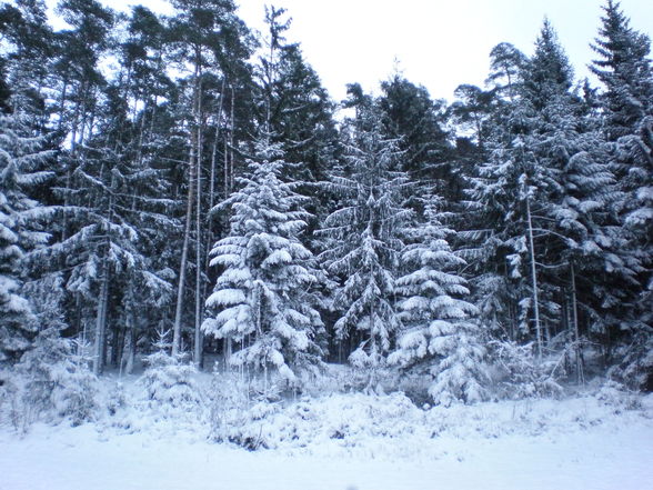 erster schnee des joa!! - 