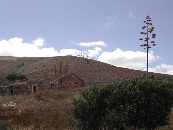 Fuerteventura - 