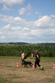 Hundeschule Perg - 