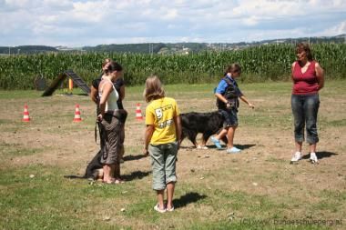 Hundeschule Perg - 