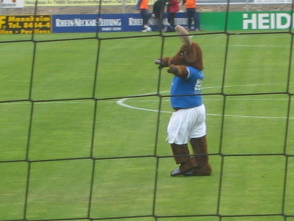 Hoffenheim - 