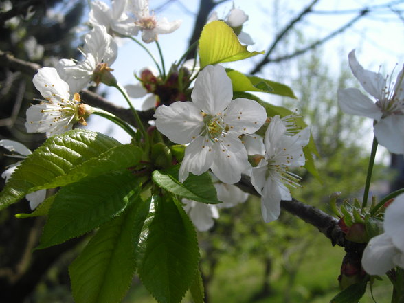 da habts was zum schaun - 