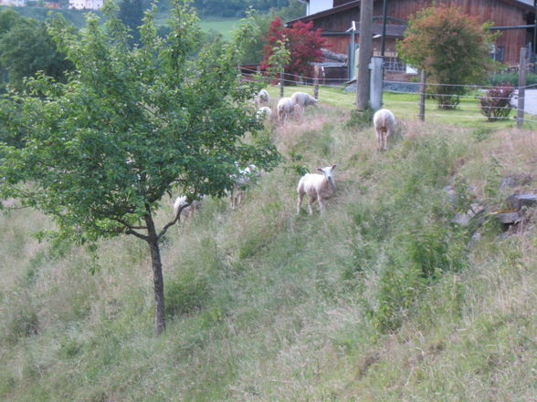 Eines der schönsten Länder der Welt - 