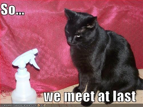 FUNNY - 