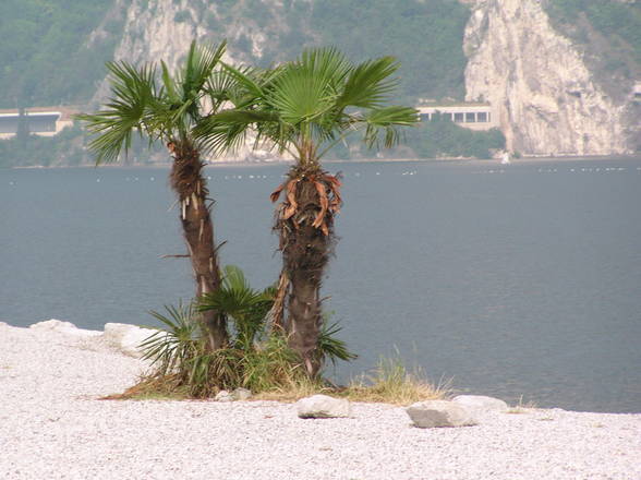 ~* Lago di Garda 2005 *~ - 