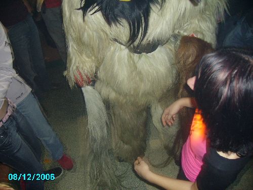 Krampusparty im WS - 