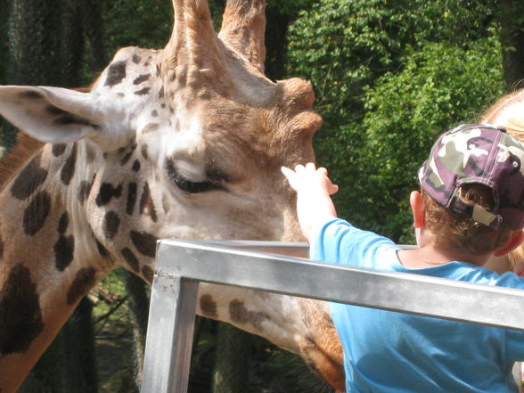 Pascal im Zoo - 