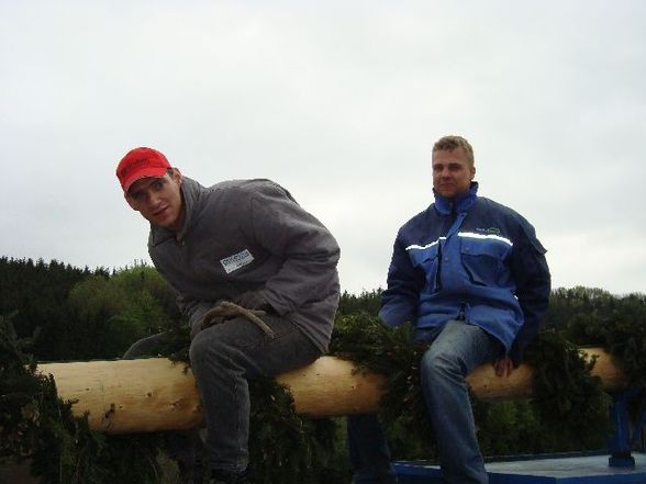 Maibaum aufstellen - 