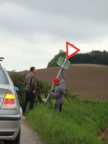 Maibaum aufstellen - 