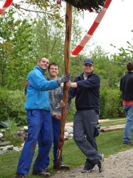 Maibaum aufstellen - 