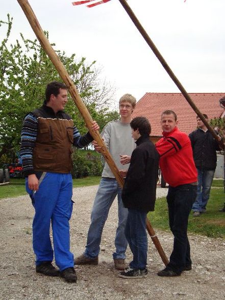 Maibaum aufstellen - 