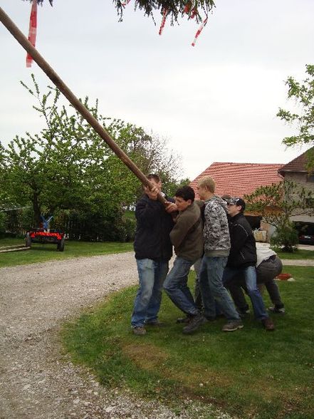 Maibaum aufstellen - 