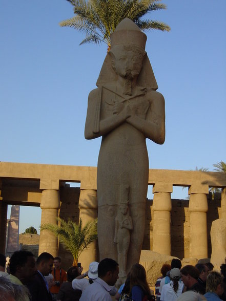 Ägypten 10. bis 17. Dezember 2006 - 