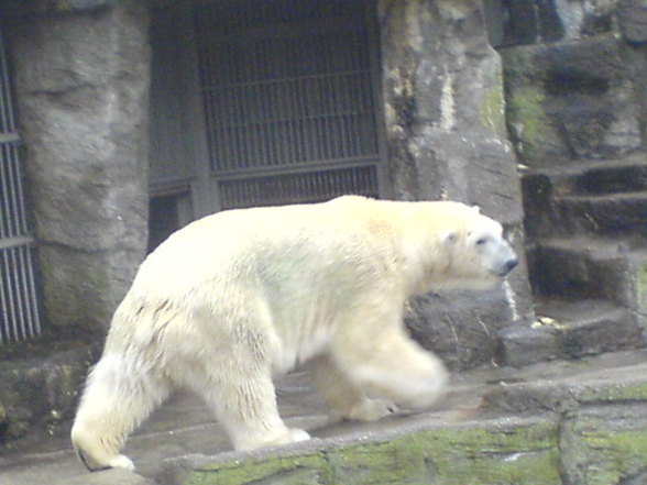 *AusflUG nAcH SChöNBrUNn * - 