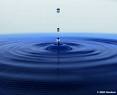 Wasser........... - 