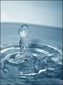 Wasser........... - 