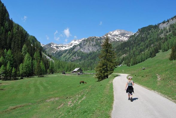 Meine Murtalhütte - 