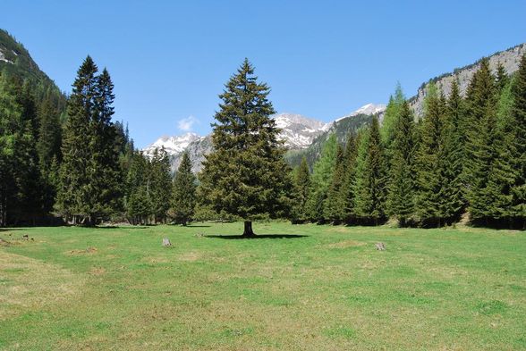 Bergsteigen&Bergwandern - 