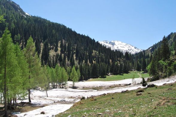 Bergsteigen&Bergwandern - 