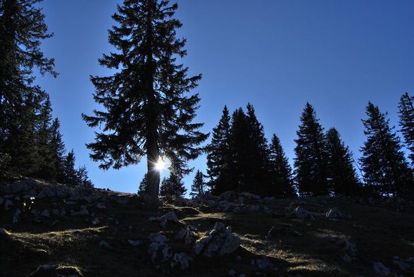 Bergsteigen&Bergwandern - 