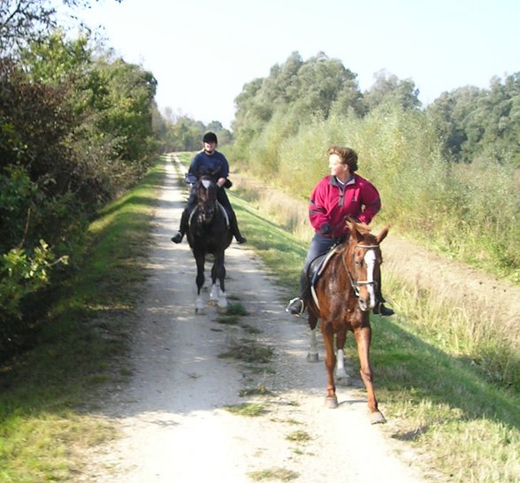 Wochenritt Herbst 2005 - 