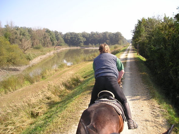 Wochenritt Herbst 2005 - 