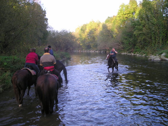 Wochenritt Herbst 2005 - 