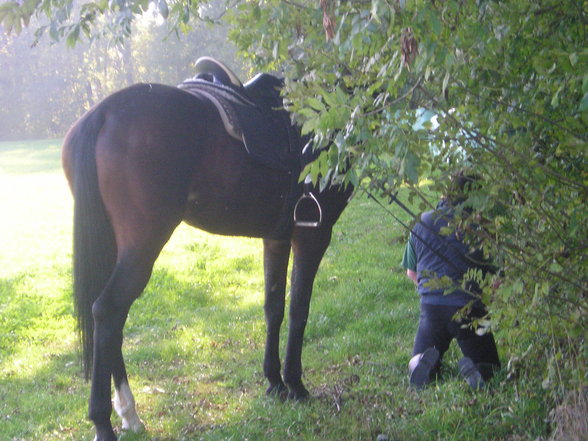 Wochenritt Herbst 2005 - 