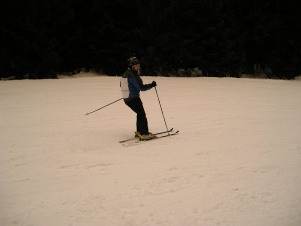 Schifahren - Schifahren - 