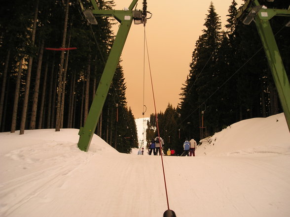 Schifahren - Schifahren - 