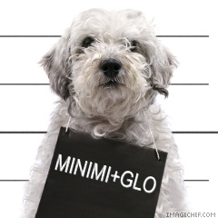 MiNiMi+GlO - 