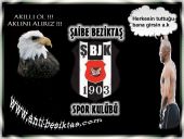 bjk li ler icin - 