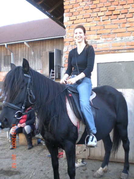 Reiten in Ampfelwang - 