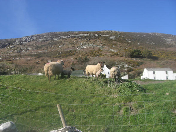 crookhaven, barleycove + mizenhead - 