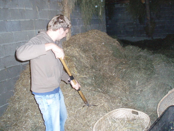 Der Weg vom Ferkel zur Spansau - 