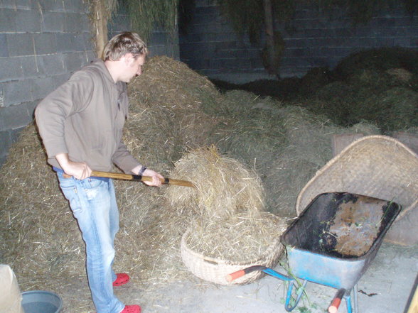 Der Weg vom Ferkel zur Spansau - 