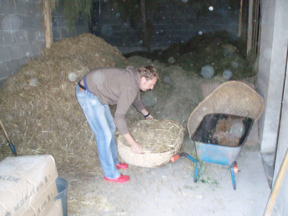 Der Weg vom Ferkel zur Spansau - 