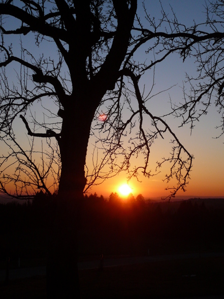 Sonnenauf- und untergänge - 