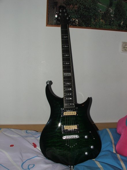 meine Gitarren - 