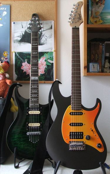 meine Gitarren - 