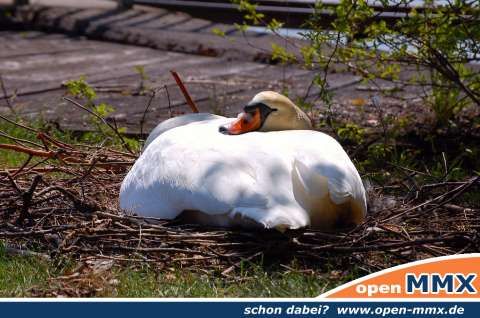 Ausflug Attersee - 