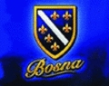 Bosna 4-ever   - 