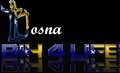 Bosna 4-ever   - 